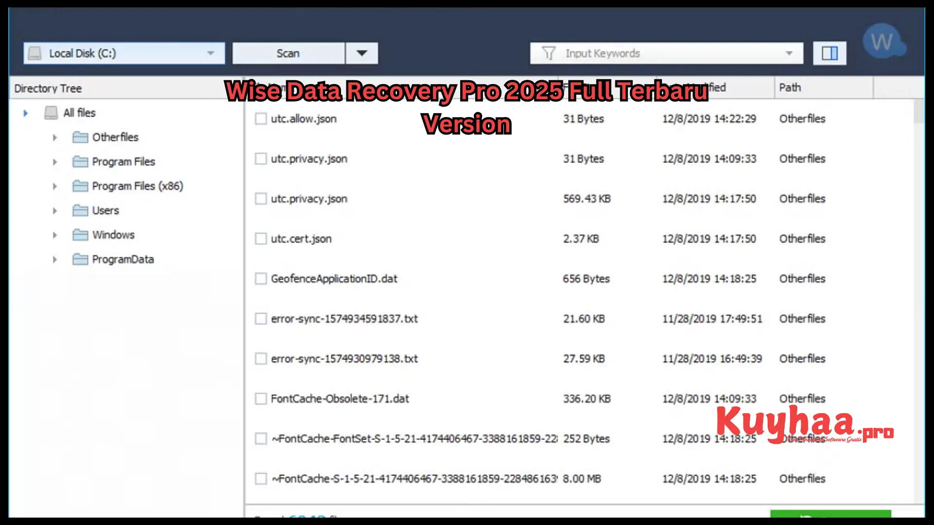 Wise Data Recovery Pro 2026