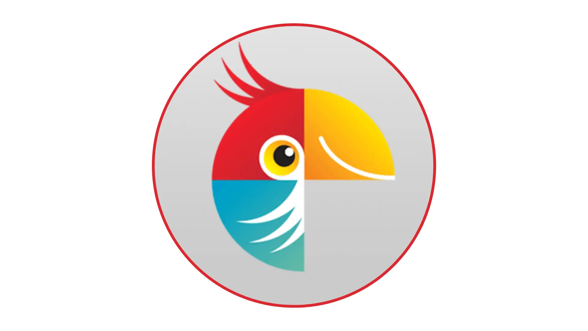 Download Movavi Photo Editor 2025