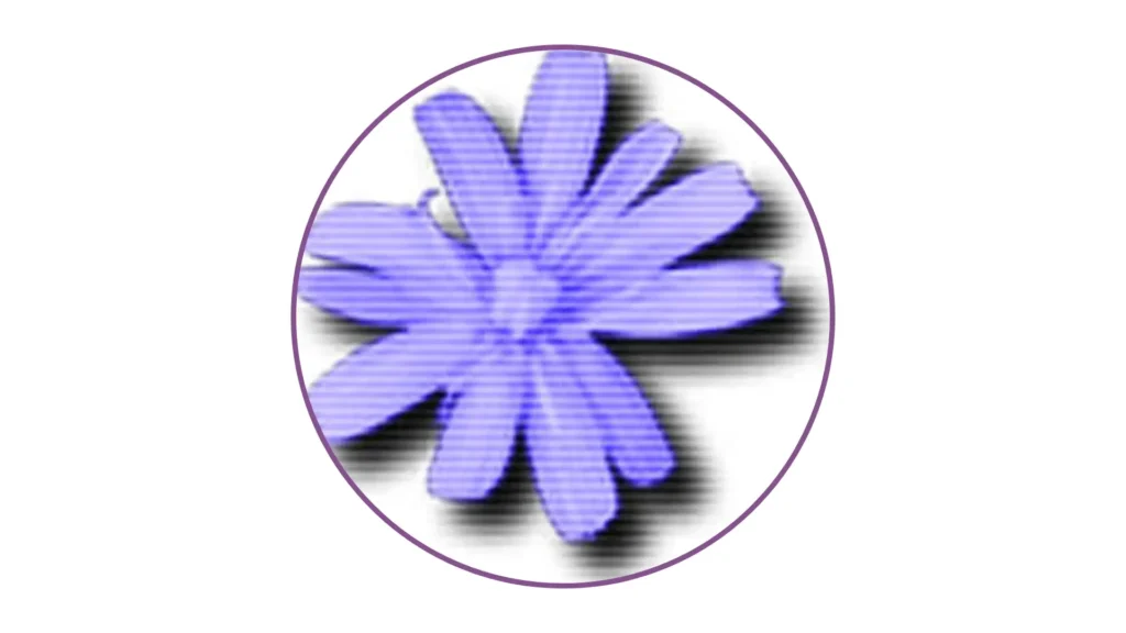 Download Cloanto C64 Forever Plus